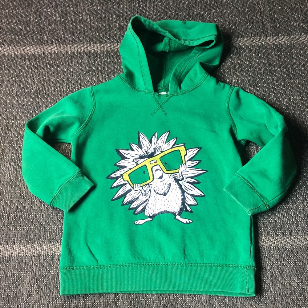The Children's Place Green Hoodie with Hedgehog Graphic